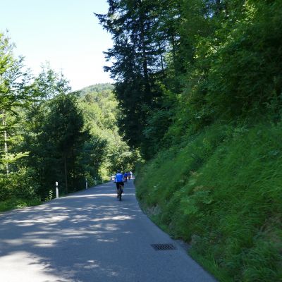 053 Jetzt gings nur noch bergab